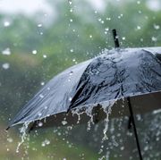 it's raining heavily, wearing an umbrella during the rainy season