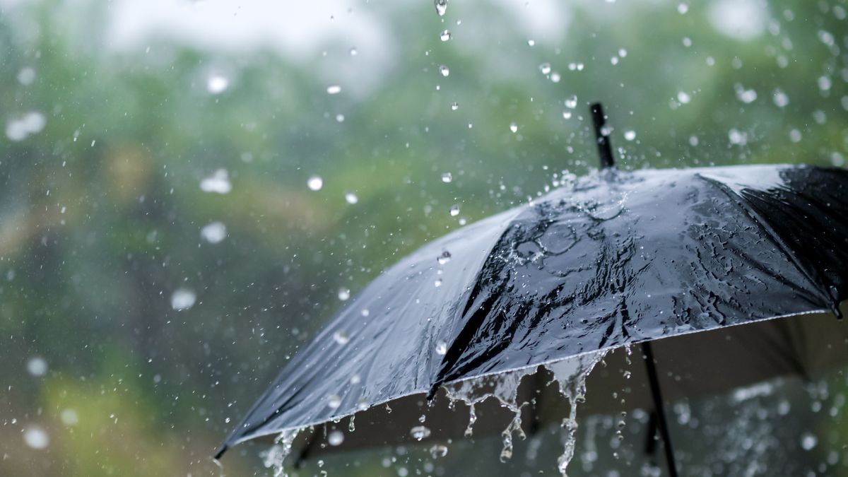 Rainwater Is No Longer Safe to Drink, Study Says