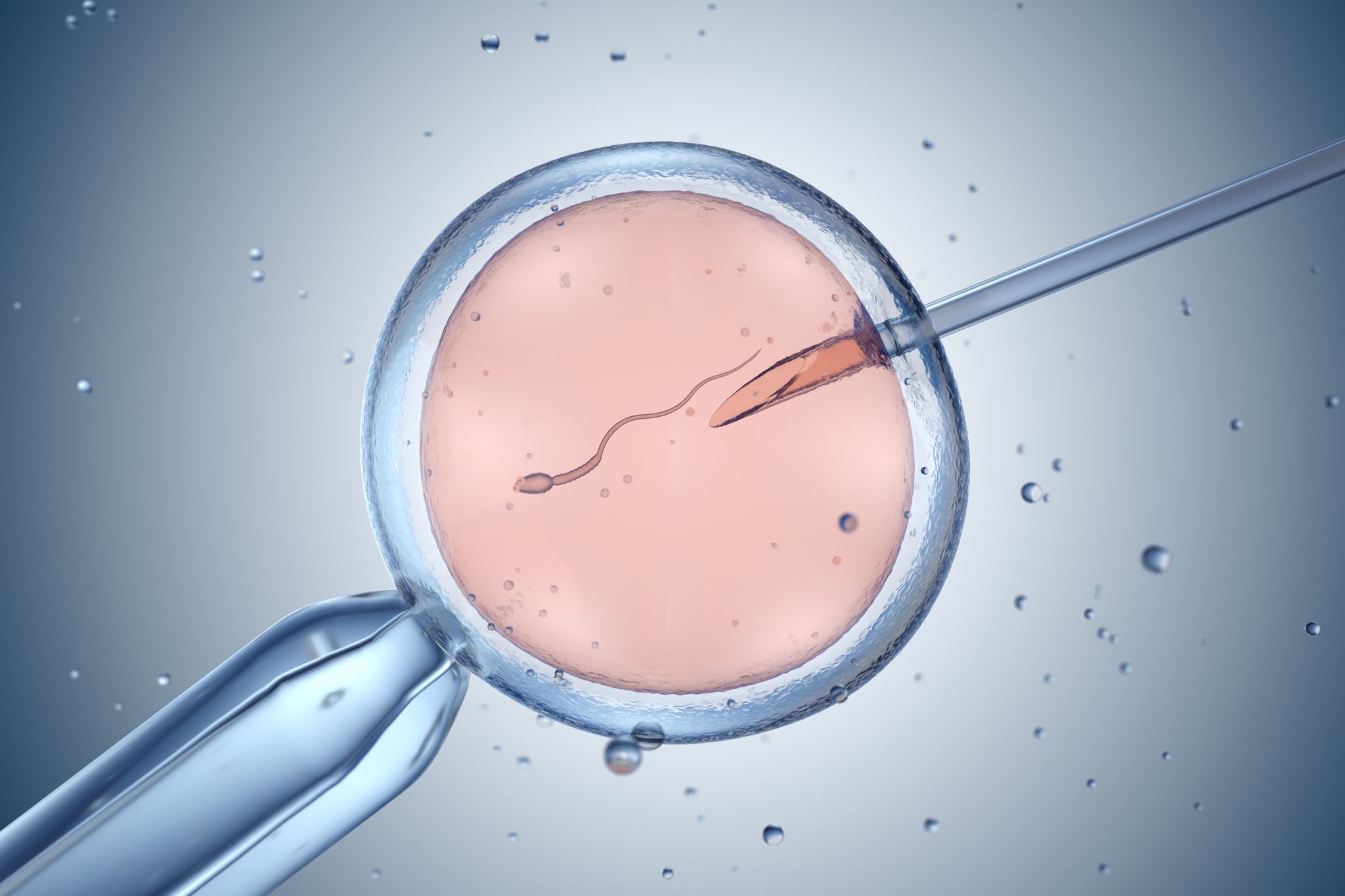 artificial insemination or in vitro fertilization 3d illustration