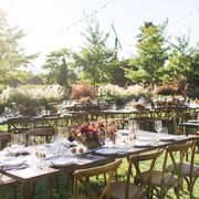 Restaurant, Table, Meal, Banquet, Lunch, Party, Rehearsal dinner, Event, Tree, Furniture, 