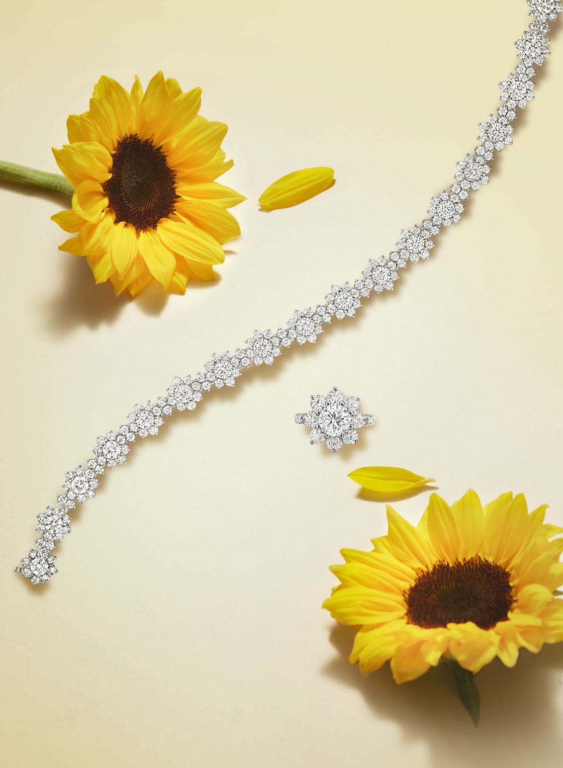 harry winston sunflower collection