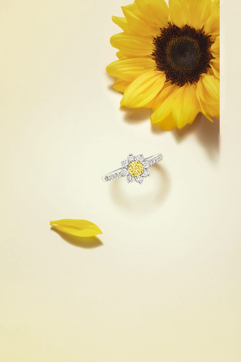 harry winston sunflower collection