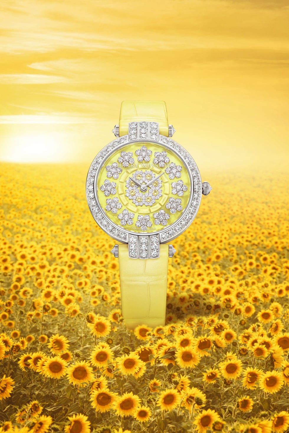 harry winston sunflower collection