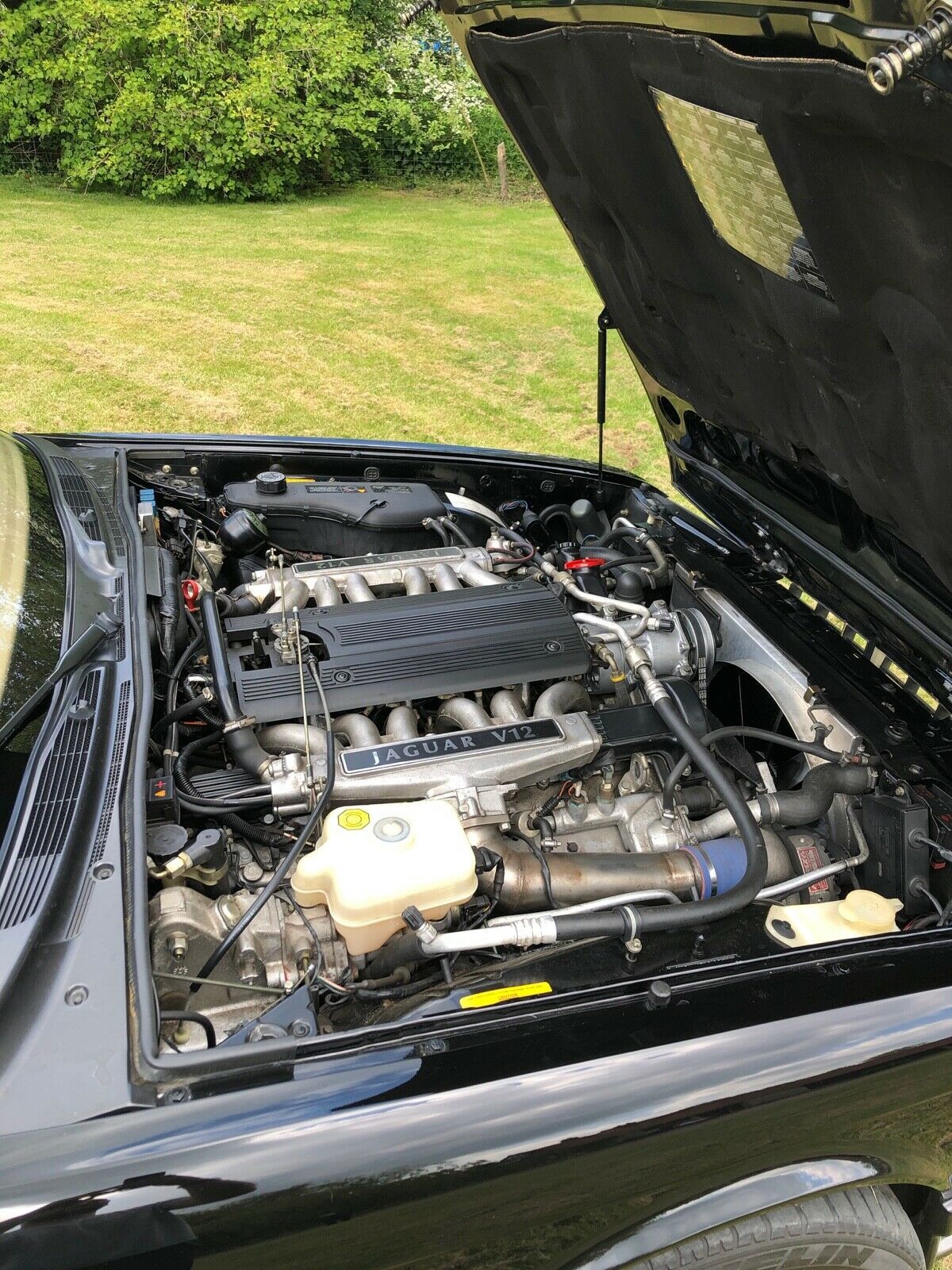 jaguar v12 supercharged
