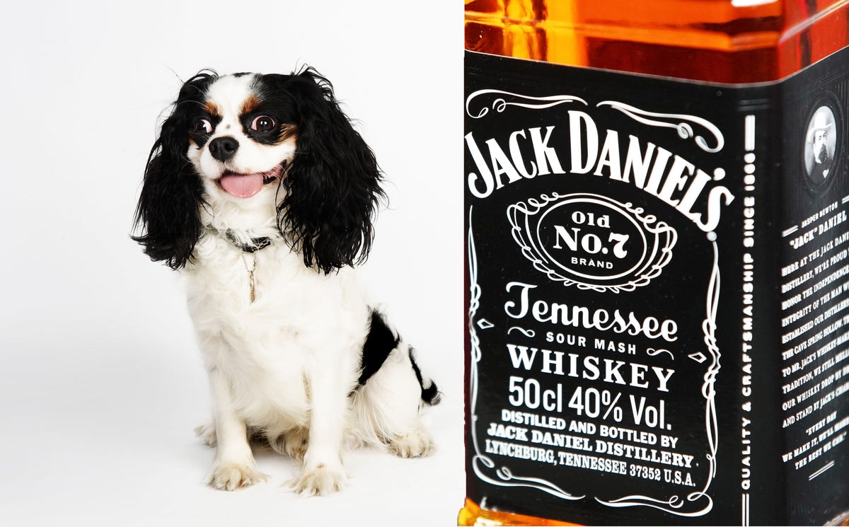 Jack Daniel's is barking mad over a dog toy that parodies its signature  bottle