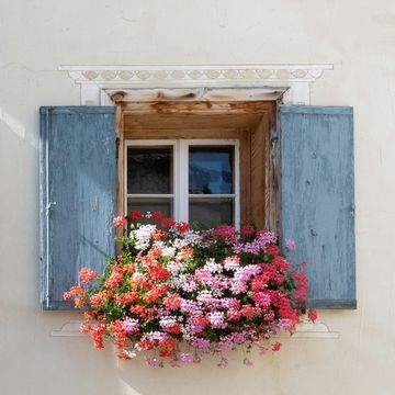 a couple of windows with flowers in them