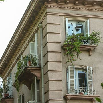 a building with windows and plants on the windows