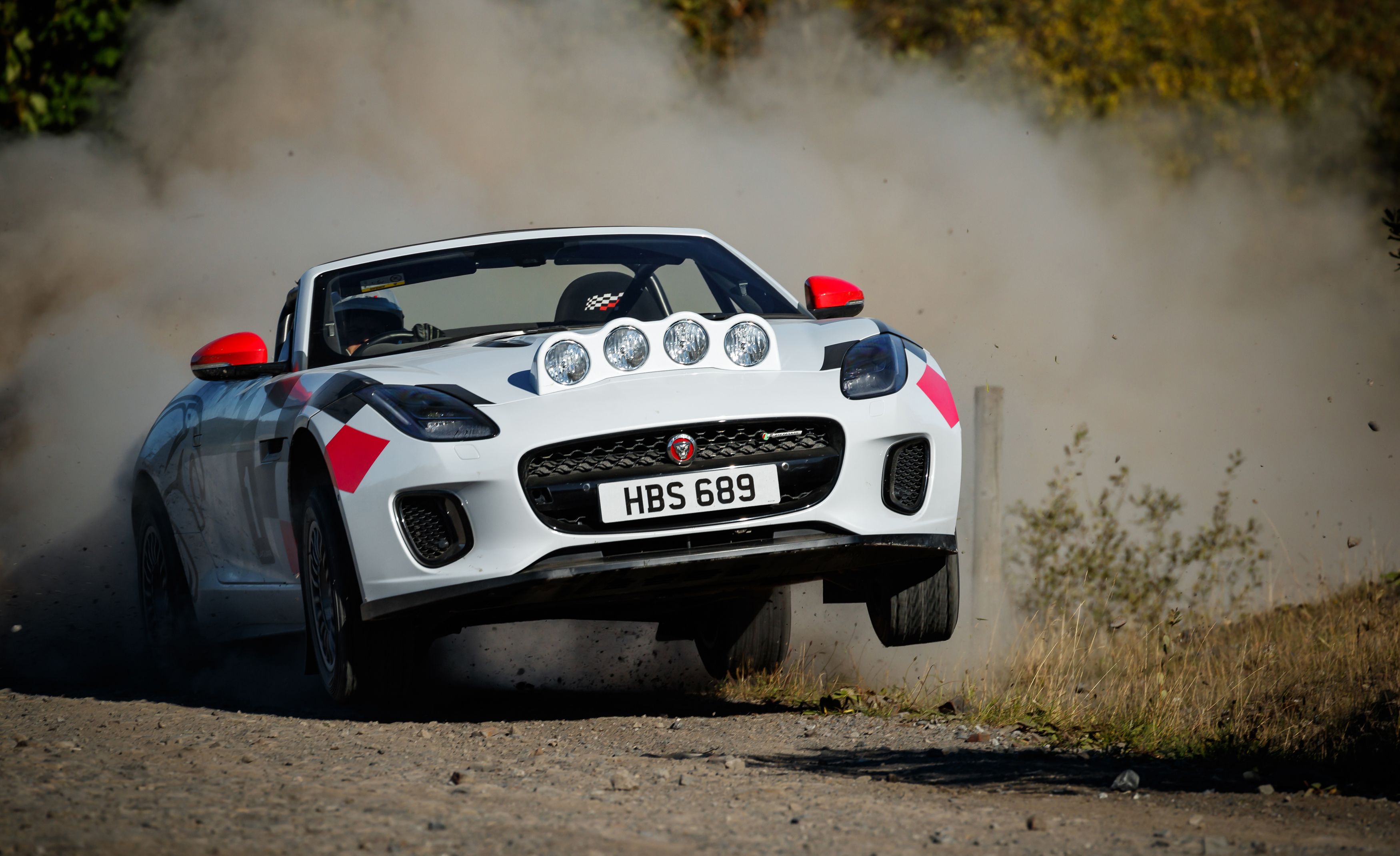best rc rally car 2020
