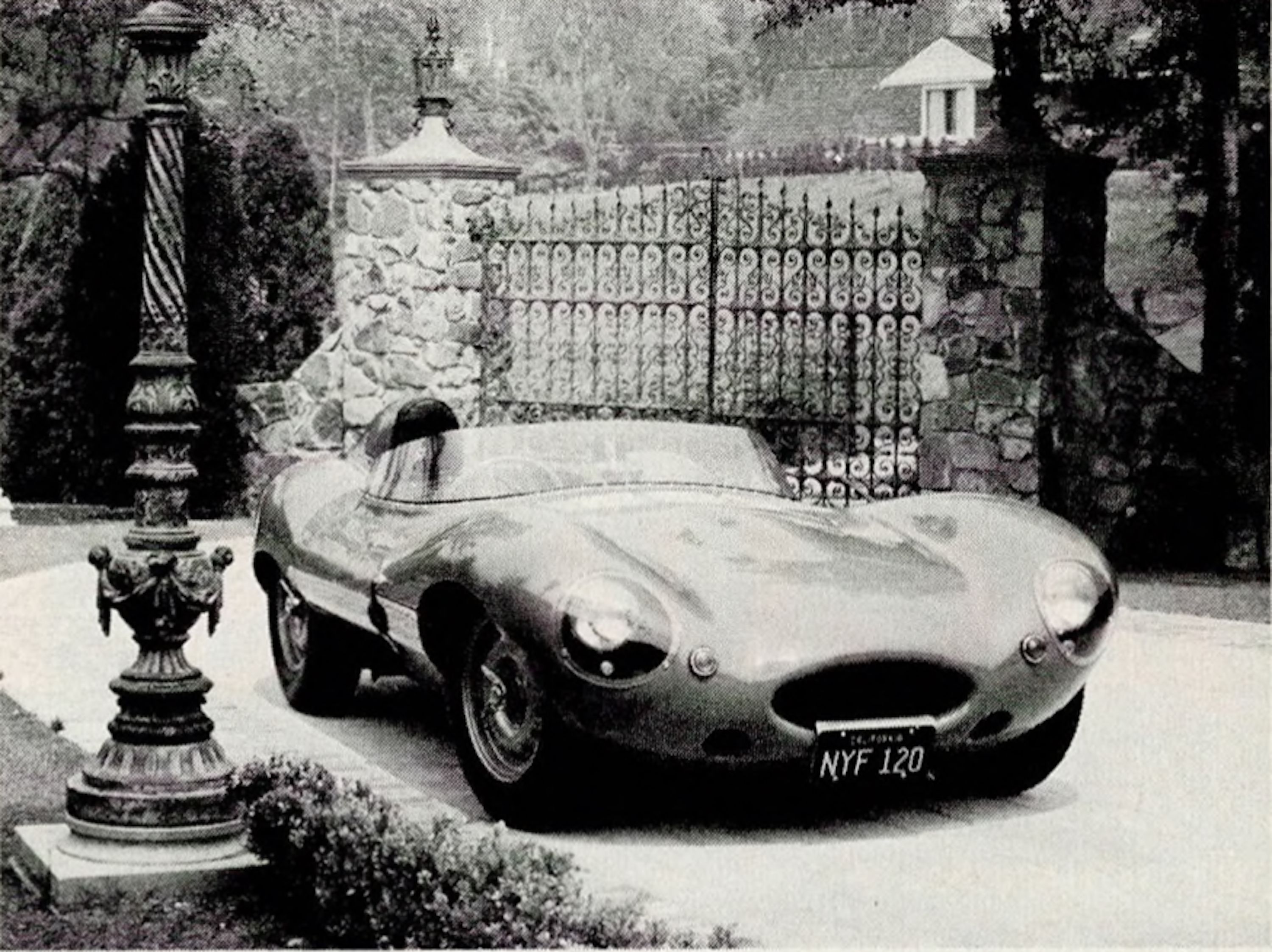 Jaguar D-Type - Wikipedia