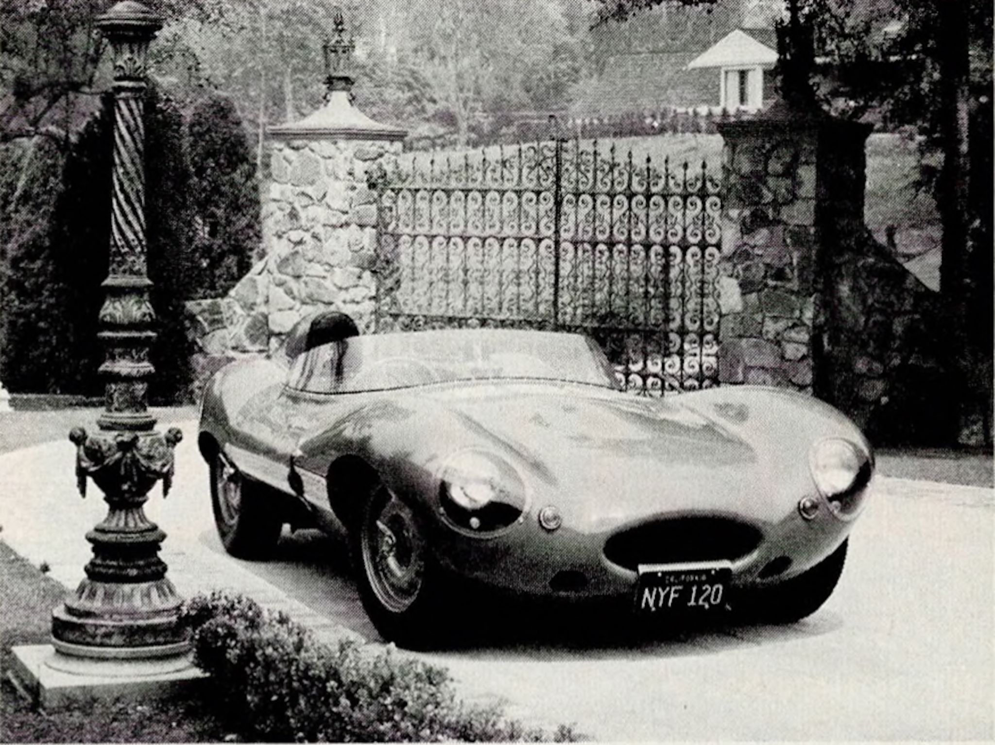 How the Jaguar D-Type Dominated Le Mans