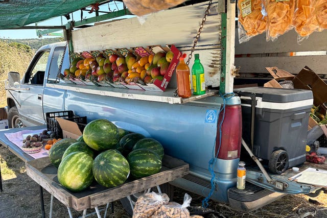 roadside vendors, california, fruit stop