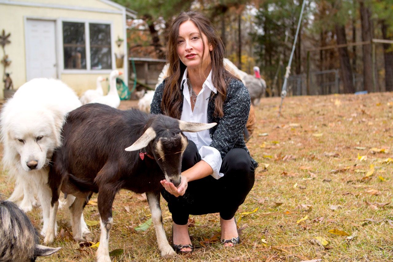 Gucci to Goats, Goats of Anarchy, and More Goat Instagram Accounts -  Inspiring Female Goat Farmers