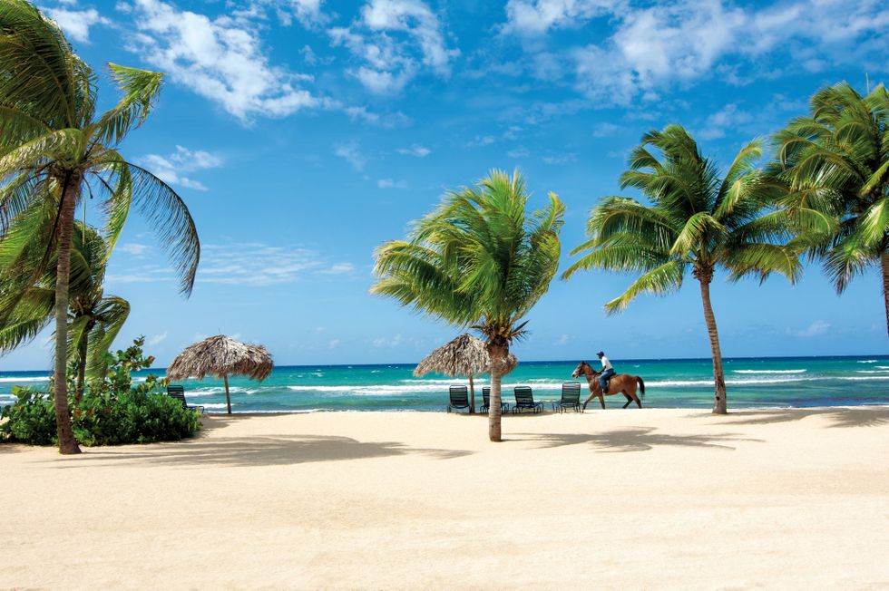 Beach, Tropics, Tree, Vacation, Caribbean, Palm tree, Shore, Sky, Arecales, Sea, 
