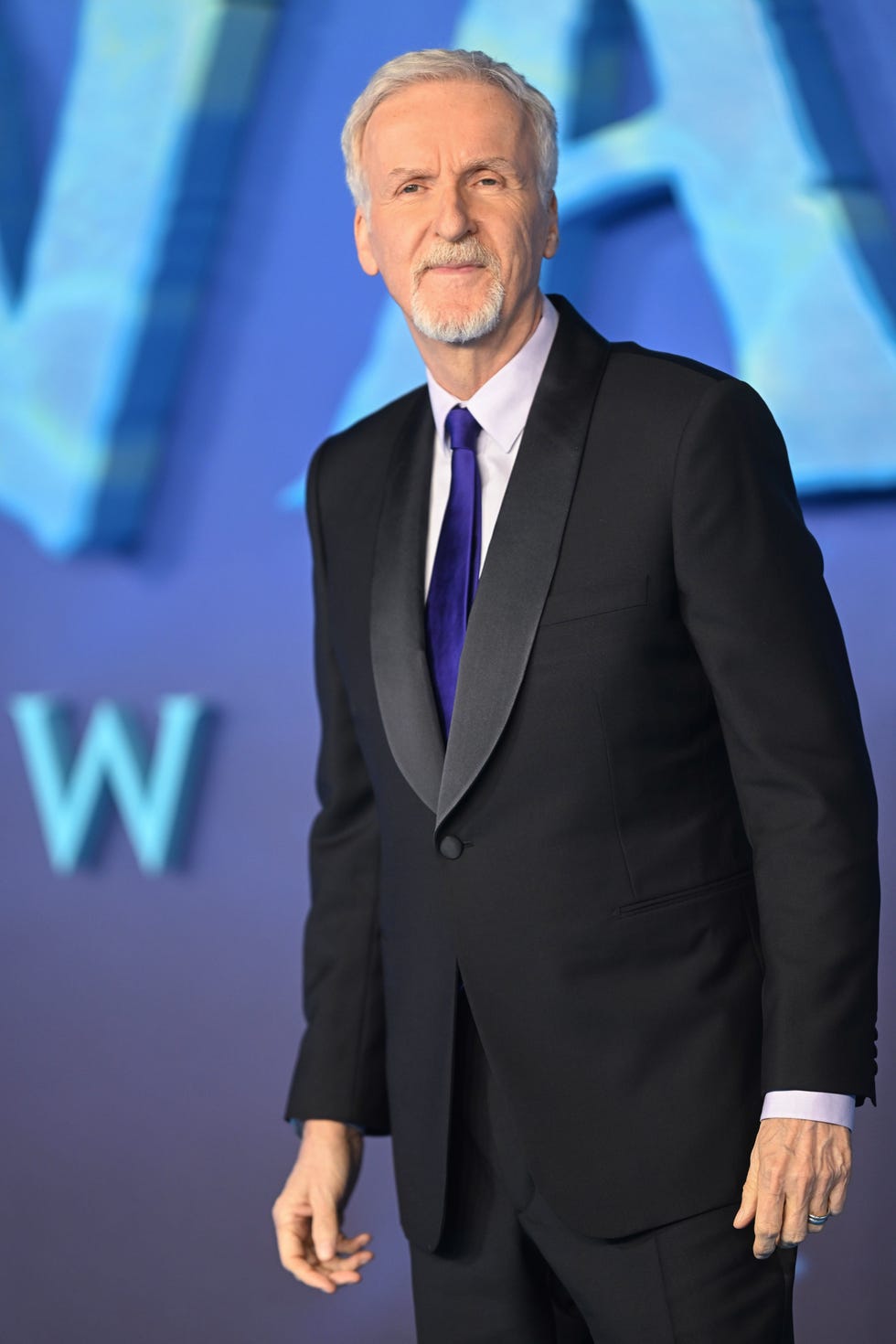 james cameron attends the avatar the way of water world premiere at odeon luxe leicester square on december 06, 2022 in london, england