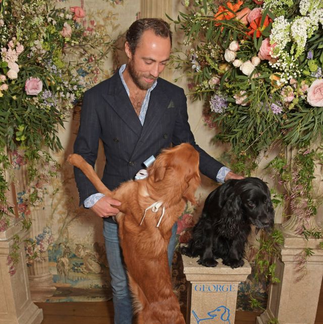 james middleton launch of the george charitable dogs committee at george club