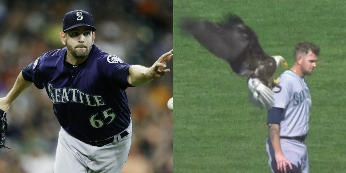 Bald eagle roughs up Mariners pitcher James Paxton at Twins MLB game