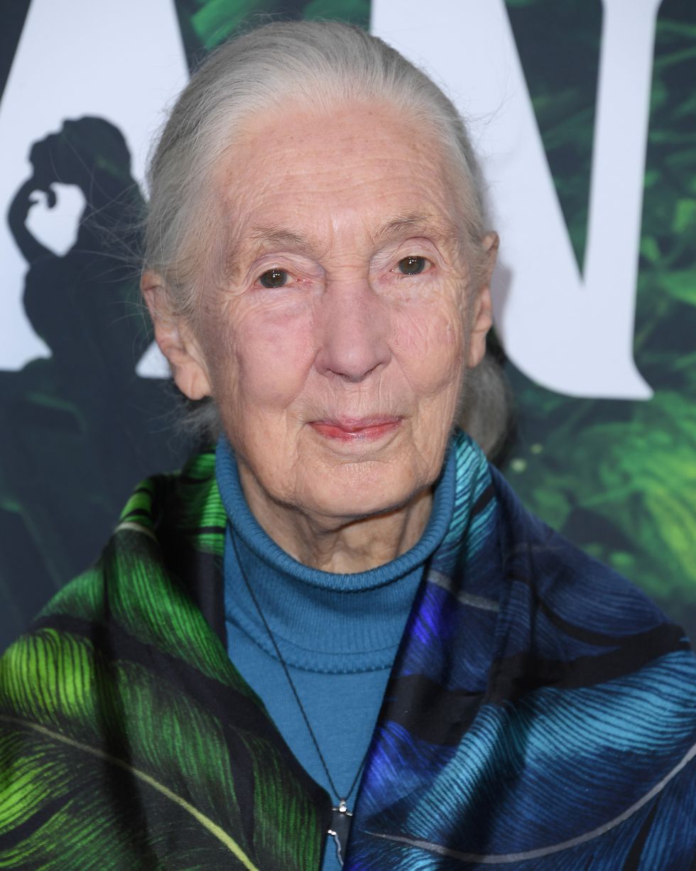 jane goodall wearing a green and blue dress and posing for a photo