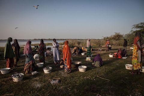 Vrouwen wachten tot de vissers aankomen met hun vangst zodat ze deze kunnen schoonmaken en kunnen verkopen op de markten aan de oever van het Tsjaadmeer in het dorp Tagal in Baga Sola Tsjaad