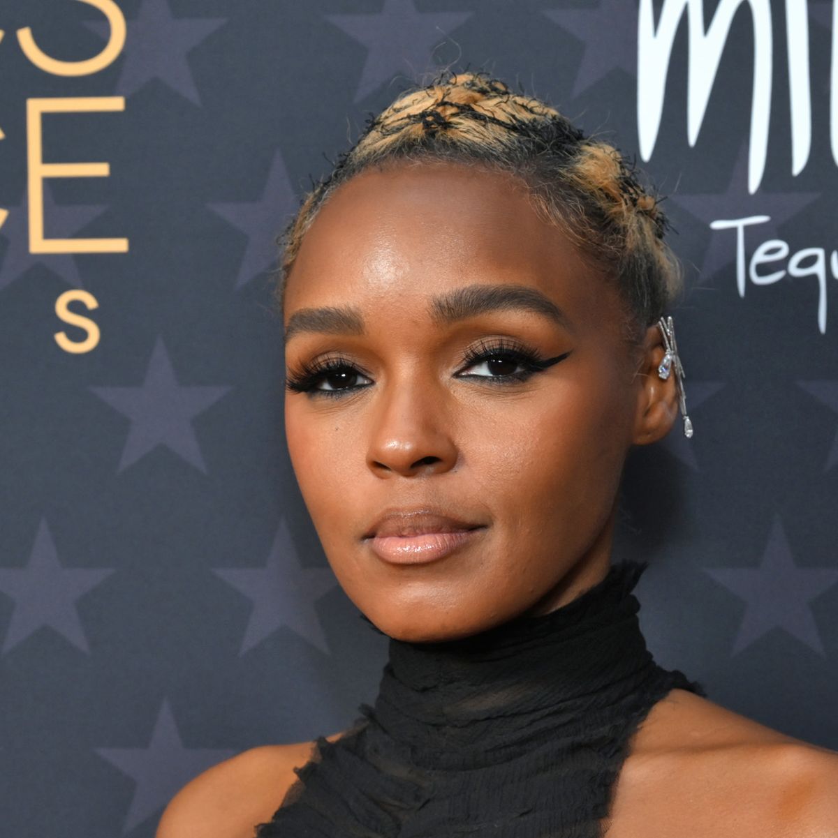 Janelle Monáe Called Out For 'Titties Out' Era Hypocrisy