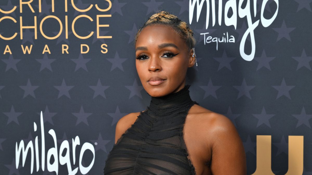 Free The Nipple Song Janelle Monae Frees The Nipple In Strong, See-Through Dress Pics