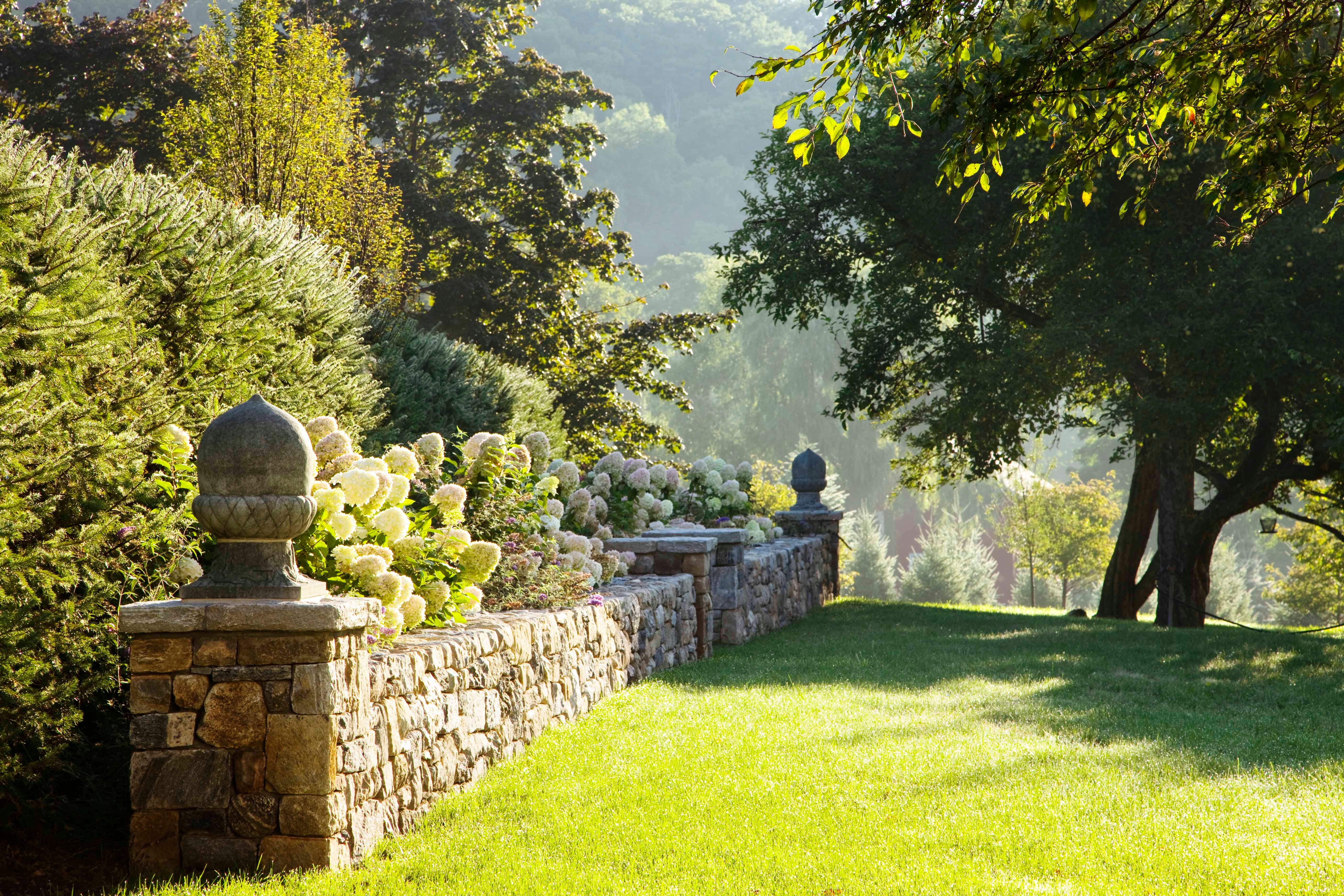 Why the Bones of Your Garden Matter as Much as What You Plant