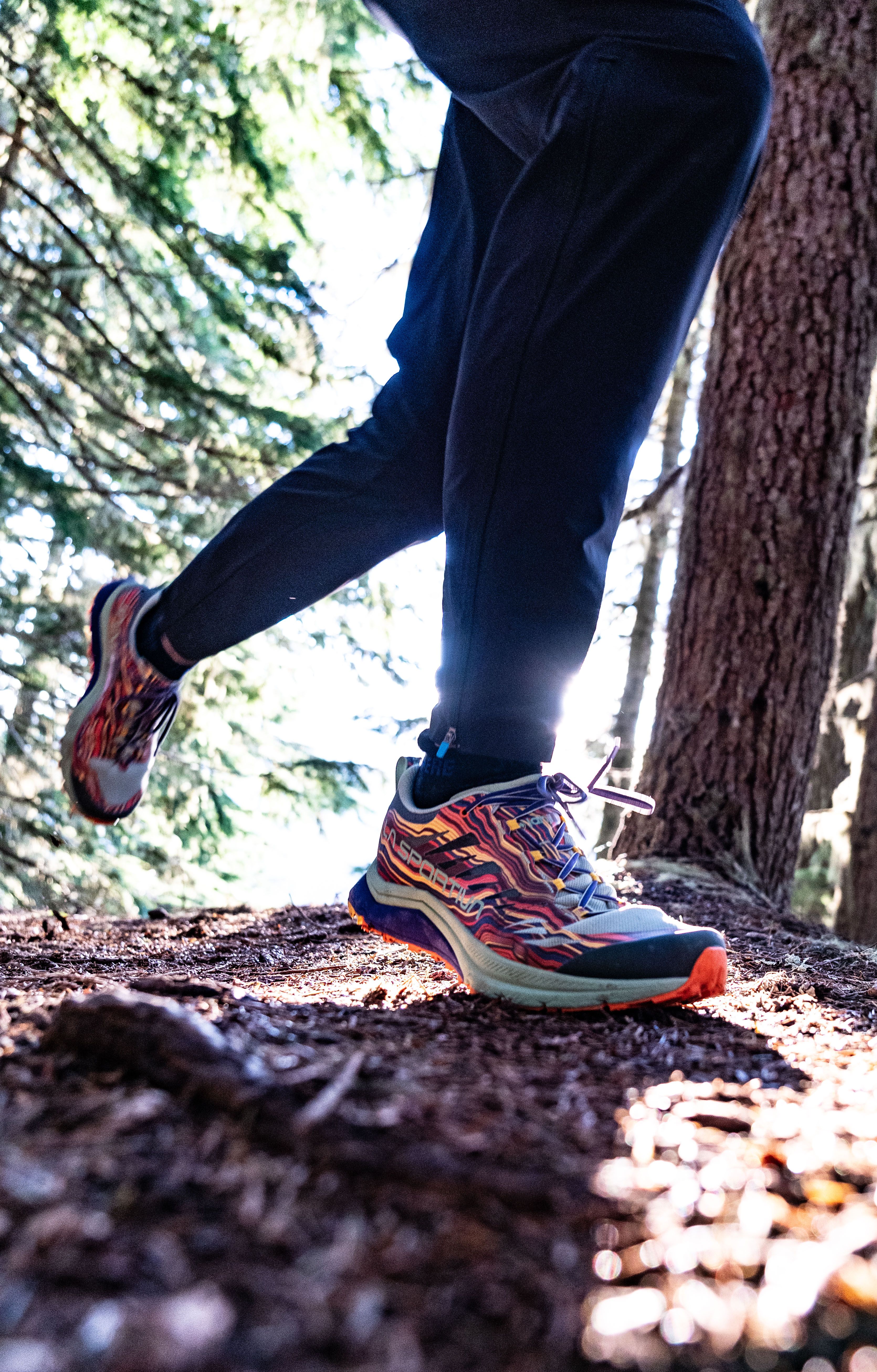 Shoe Review: Nordic Speed Shoe Aces 2-Week Trial With Flying Colors