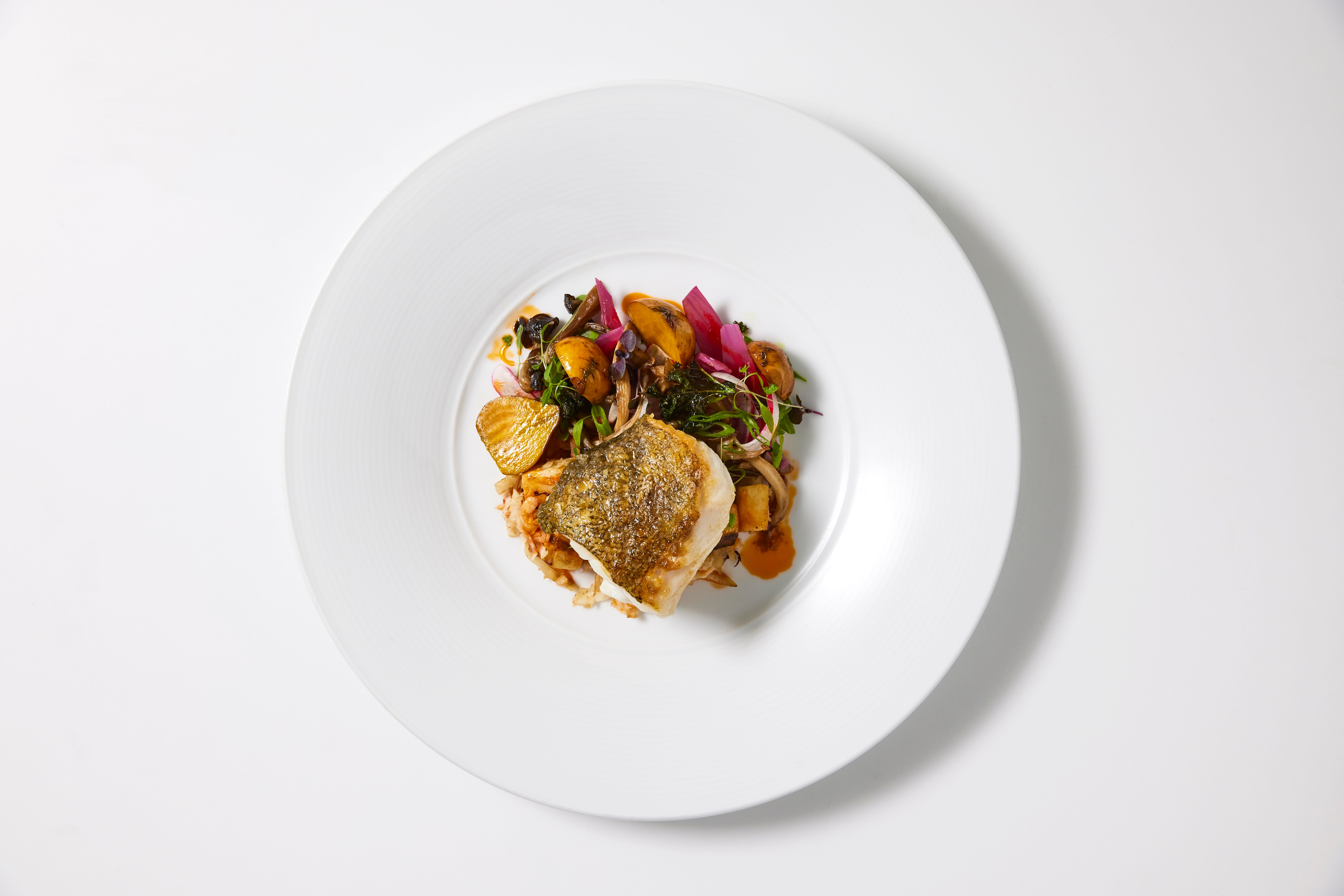 a plate of food