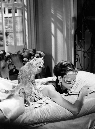 january insomnia causes cure