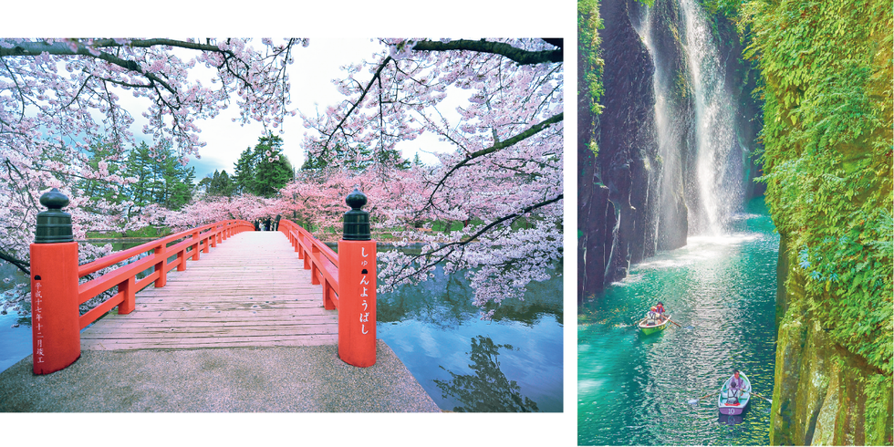 Water, Nature, Photograph, Water resources, Natural landscape, Watercourse, Waterfall, Tree, Spring, Cherry blossom, 