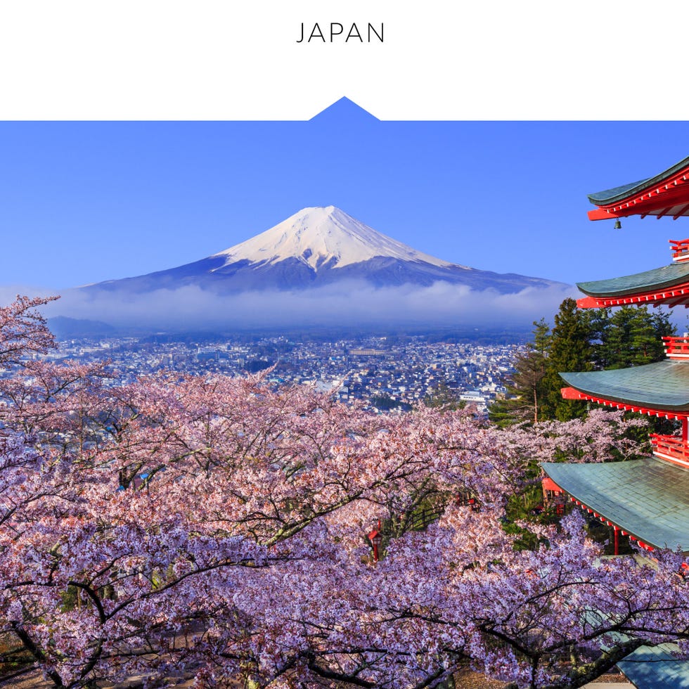 Flower, Cherry blossom, Stratovolcano, Mountain, Plant, Blossom, Spring, Tourism, Tree, Sky, 