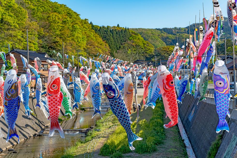 carp streamers in the spring wind in japan