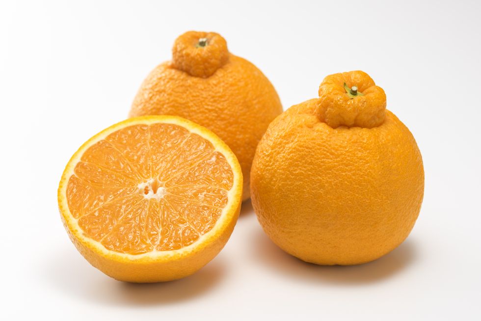 japanese citrus dekopon of siranui, another name is sumo mandarin or sumo citrus.