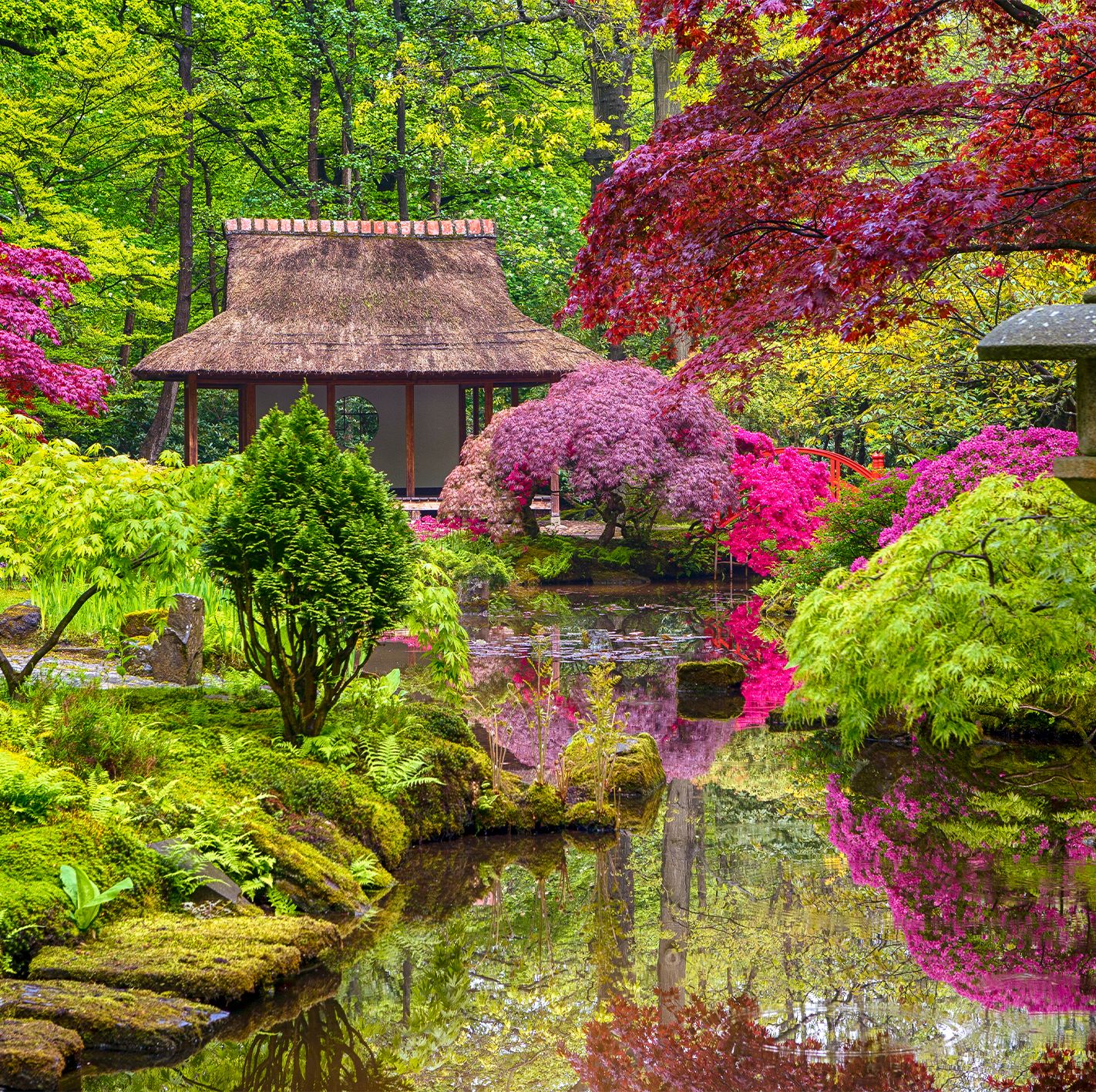japanese flower garden