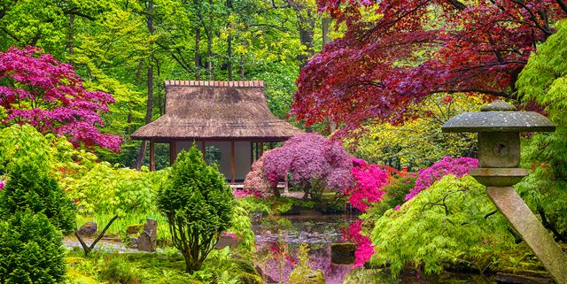 Deco Zen Design-Jardines Estilo Japonés - Buscas como decorar un jardín Zen  en interior ? 🤔 Aún pequeños espacios dentro de la casa podemos  convertirlos en un pequeño paisaje.