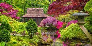 japanese garden ideas