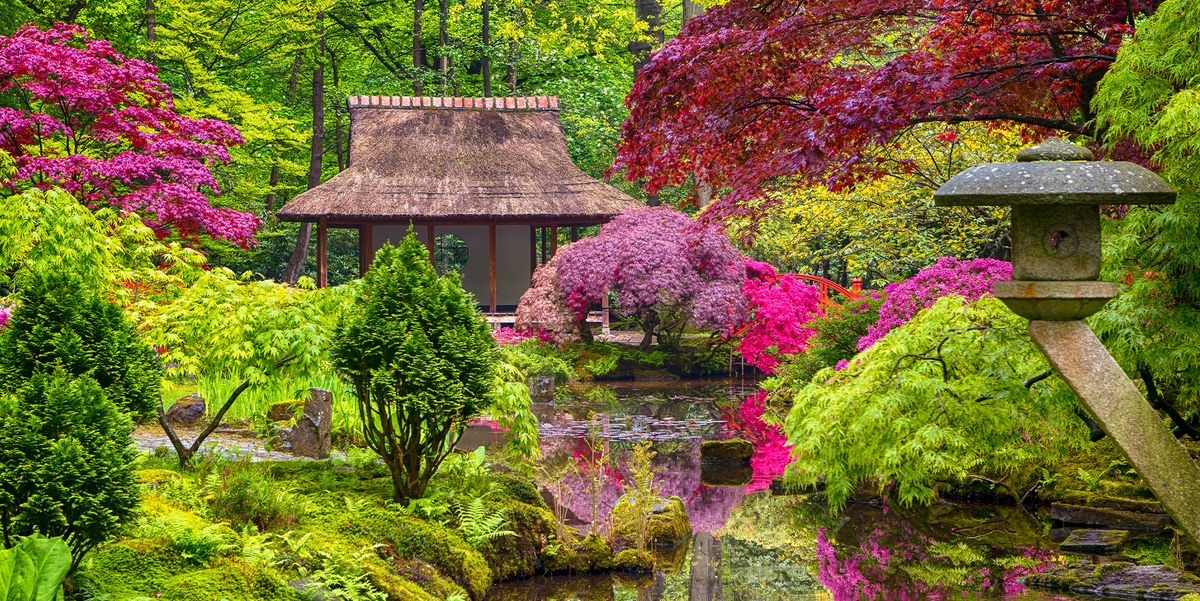 how to plant a Japanese garden 2023
