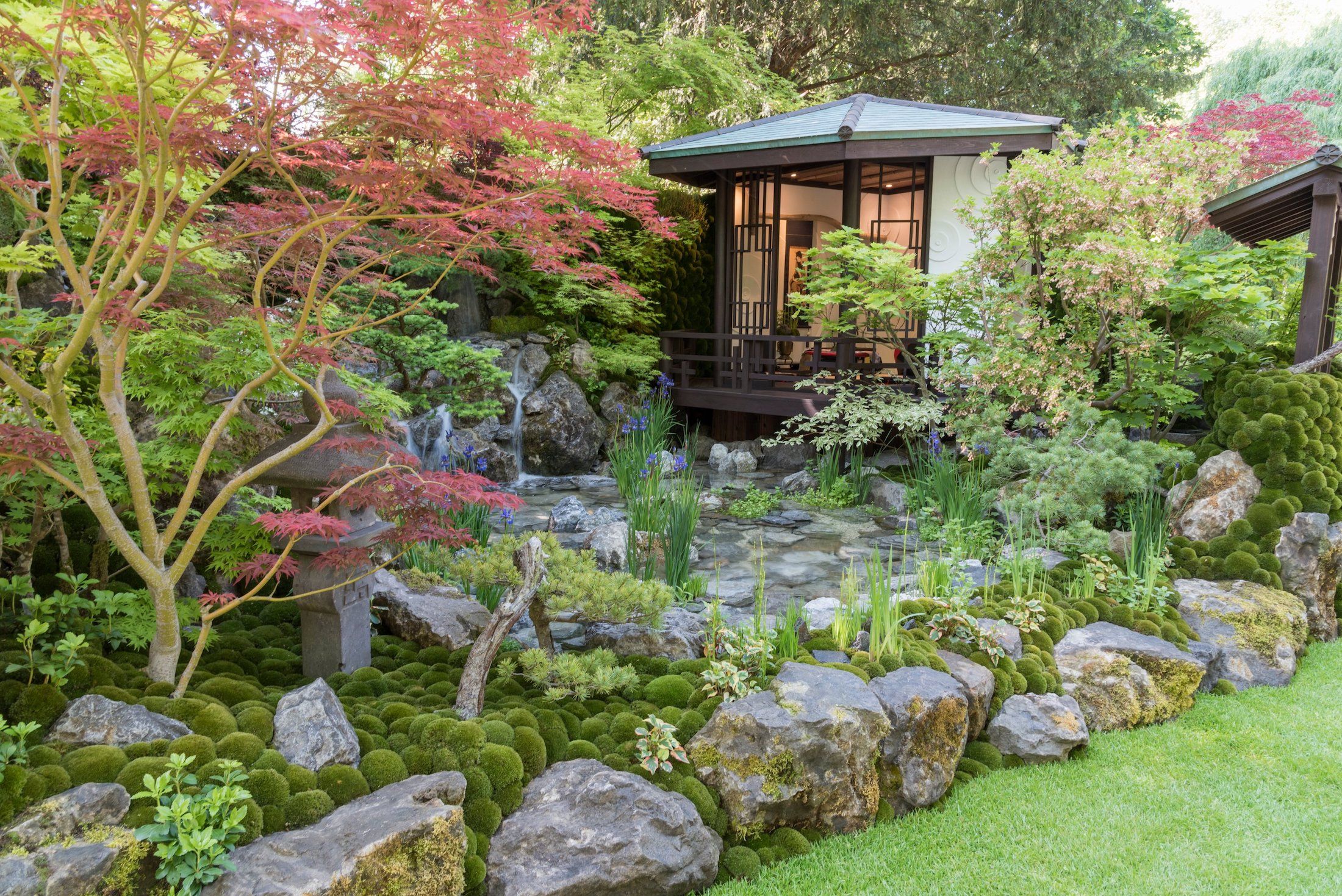 Japanese Garden Ideas - Creating A Japanese Garden