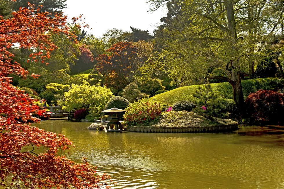 japanese hill and pond garden