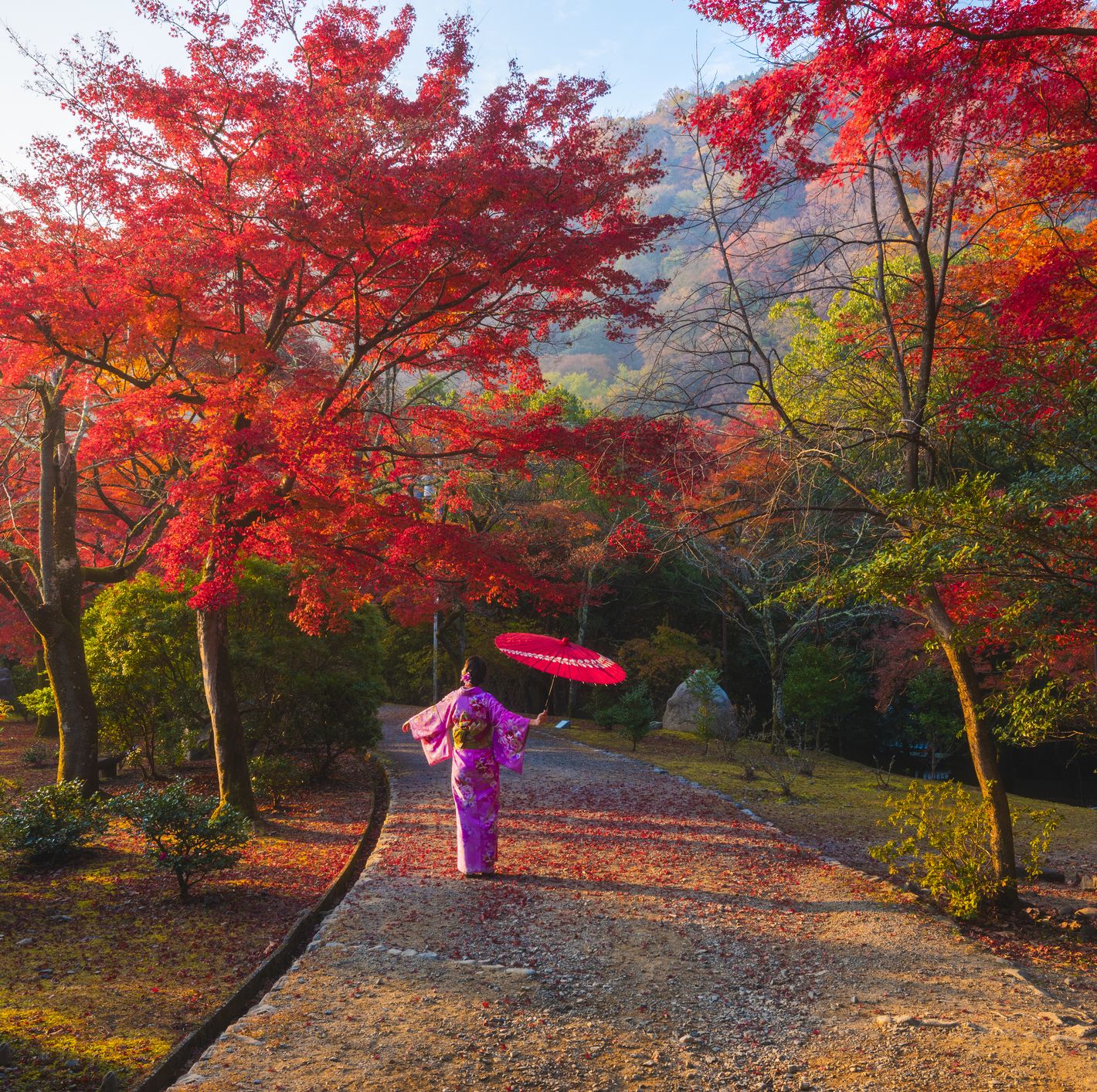 Japanese woman enjoying the beauty koyo season, Arashiyama, Kyoto, Japan