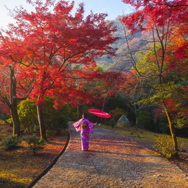 japanese woman enjoying the beauty koyo season, arashiyama, kyoto, japan