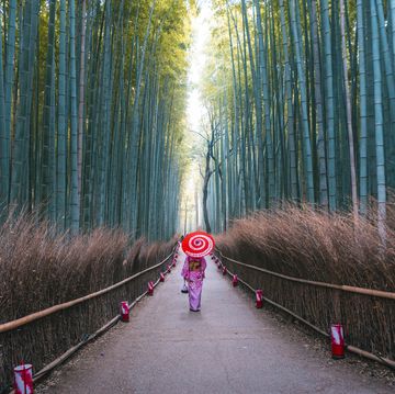 japanese woman walking in bamboo grove, arashiyama, kyoto, japan