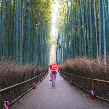 japanese woman walking in bamboo grove, arashiyama, kyoto, japan