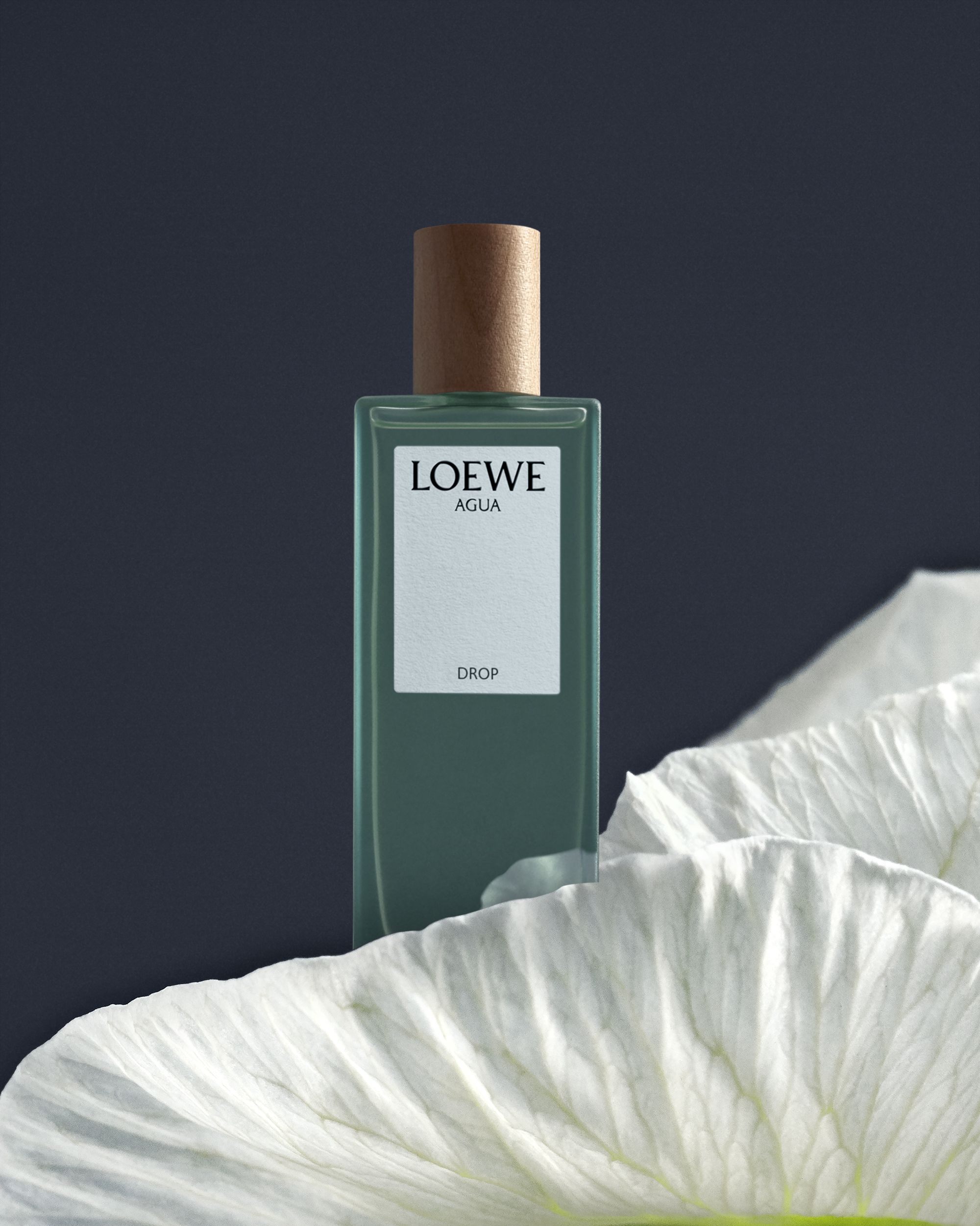 ロエベのフレグランスコレクションに、2つの新しい香りが登場 
