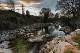 a stream with rocks and trees