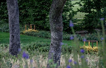 jardín en la moraleja por gonzalo morillo locus landscape