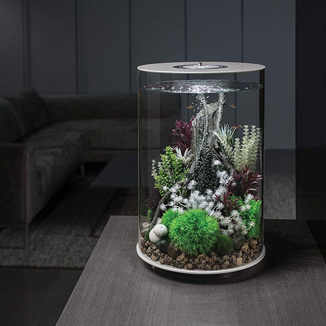 Jardín acuático con forma de tubo