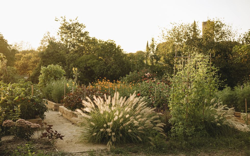 jardin experimental paisajista alex fenollar