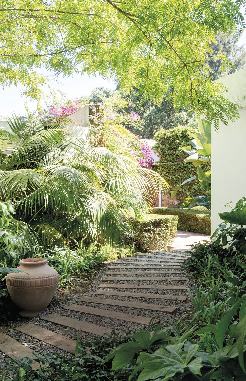jardinería jardín con camino de tablas