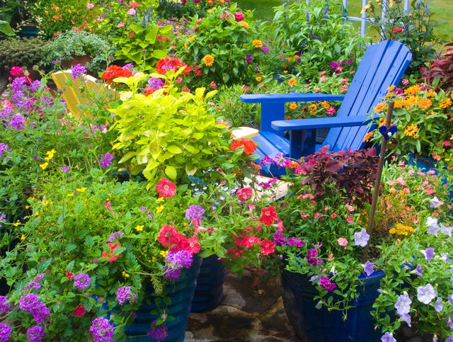 jardín con flores de verano