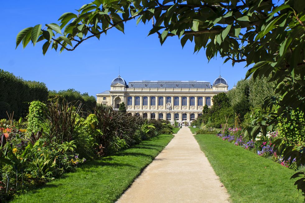jardin des plantes garden in paris